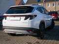 Hyundai TUCSON 1.6 T-GDi Prime Mild-Hybrid ACC HUD Weiß - thumbnail 3