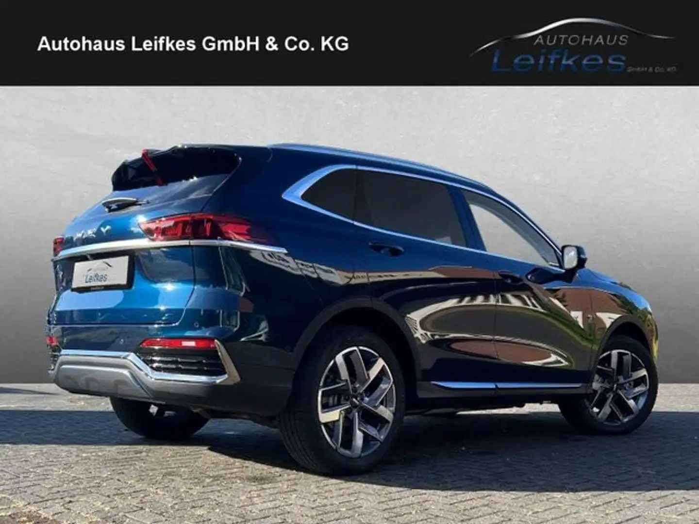 Wey Sonstige Luxury Blau - 2