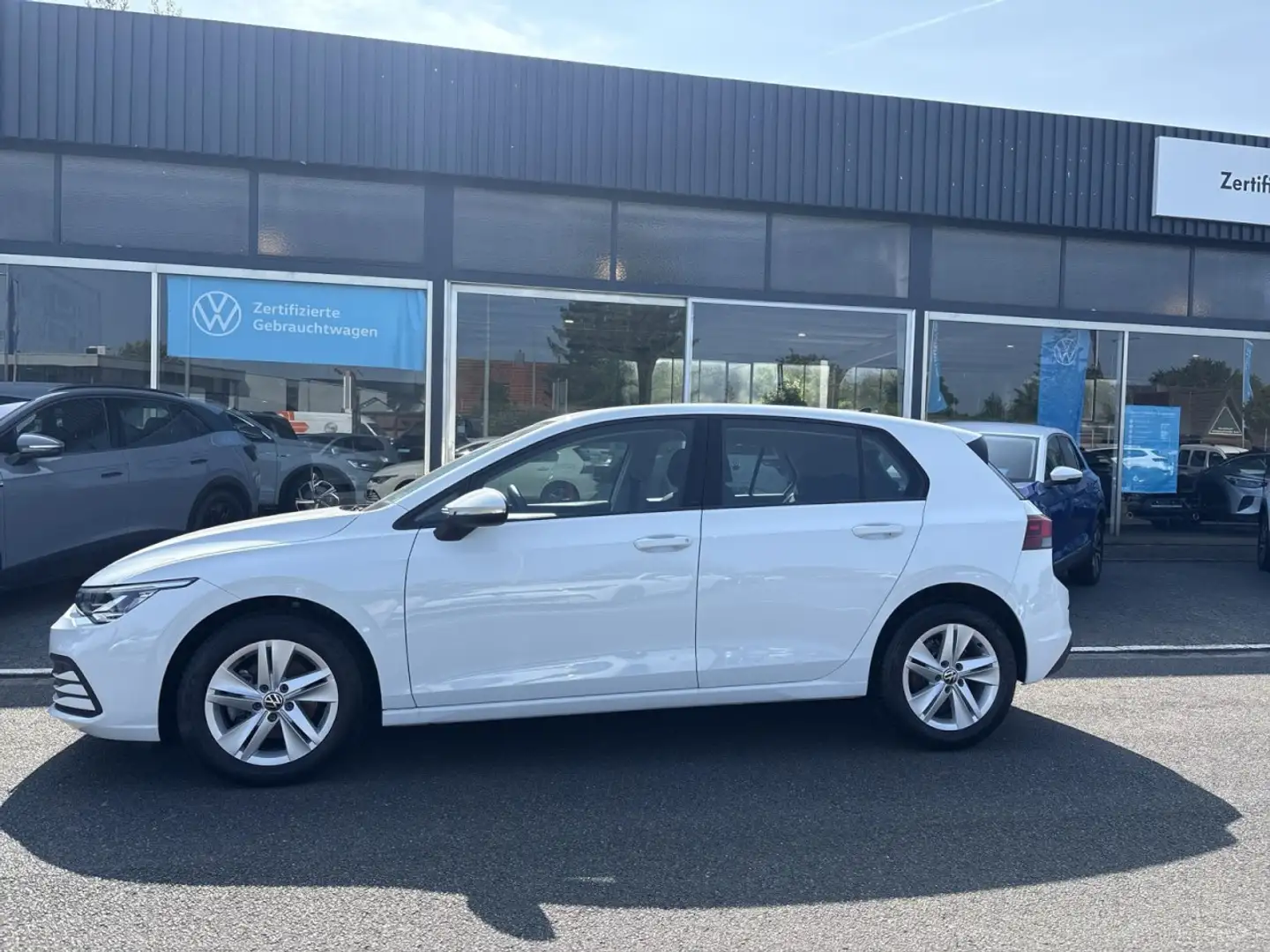 Volkswagen Golf VIII 2.0 TDI Life/Navi/ Klima Navi Einparkhilfe Weiß - 2