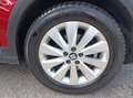 SEAT Arona 1.0 tgi Xcellence 90cv Rouge - thumbnail 10