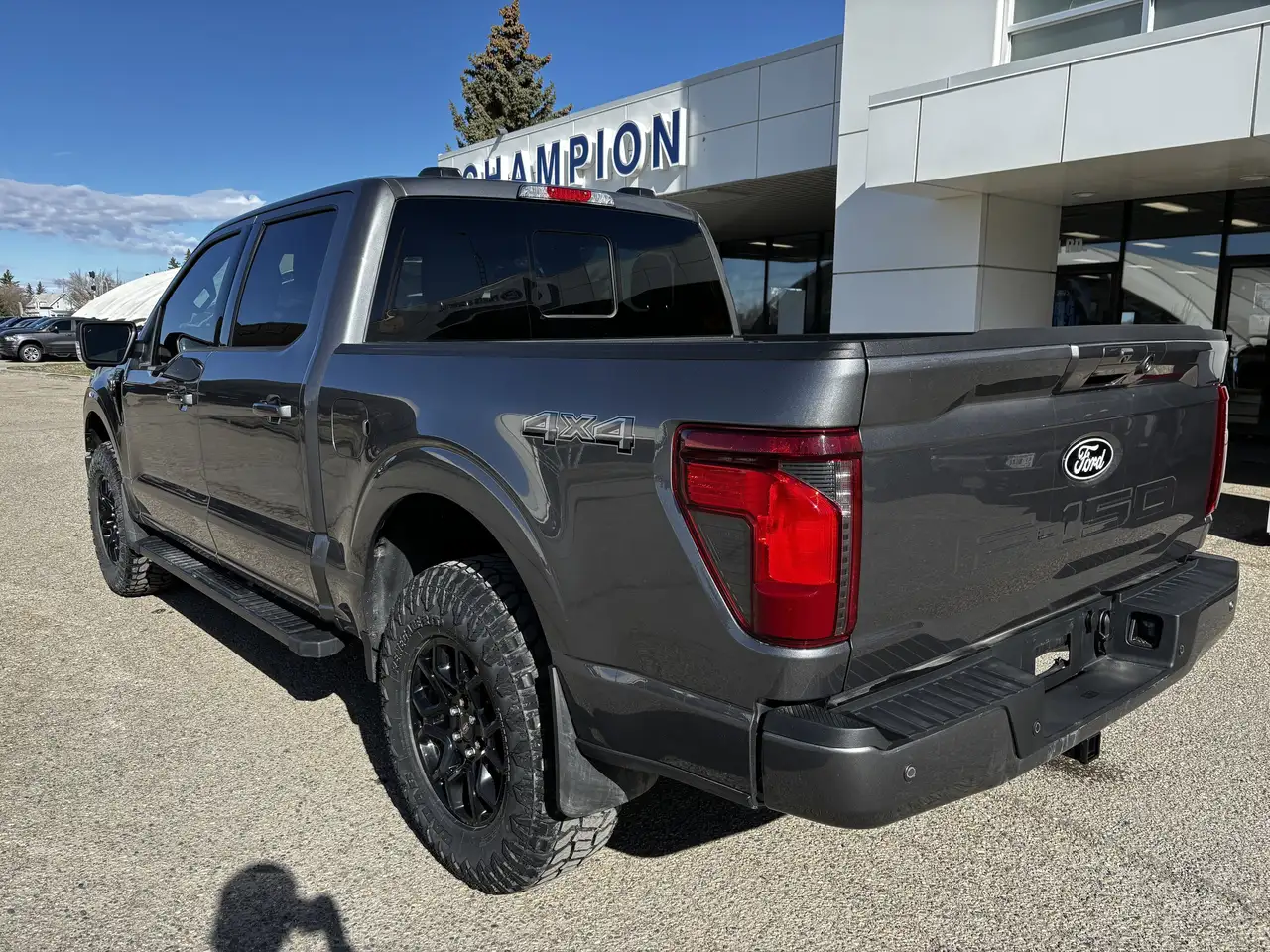 Ford F 150 снимка Ford F 150