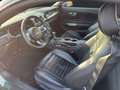 Ford Mustang Mach 1 Fastback 5.0 Ti-VCT*LED*Navi*Kam* Grün - thumbnail 10