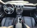 Ford Mustang Mach 1 Fastback 5.0 Ti-VCT*LED*Navi*Kam* Grün - thumbnail 14