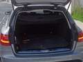 Mercedes-Benz C 220 Estate 220CDI Elegance Aut. Gris - thumbnail 13