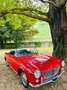 Fiat 1200 CABRIOLET AGGIORNATA DI MECCANICA - thumbnail 2