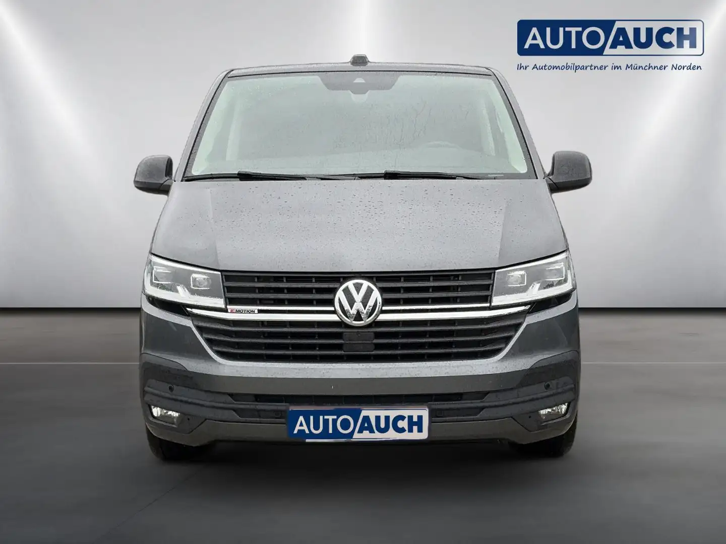 Volkswagen T6 Multivan Grau - 2