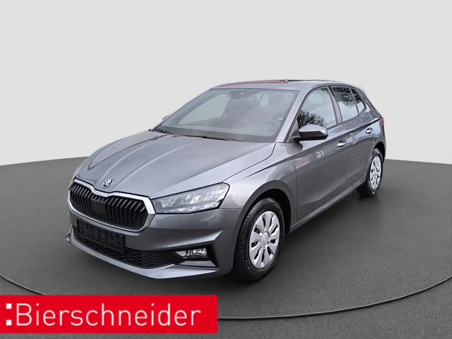 Skoda Fabia 1.0 TSI Selection LED ACC PDC Grau - 1