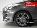 Ford Fiesta Fiesta 1.0 Ecoboost 95 CV 5 porte ST-Line - thumbnail 6