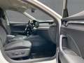Skoda Octavia Combi 2.0 TDI FIRST ED. LED+NAV+SHZ+PDC Weiß - thumbnail 12