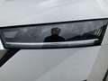 Skoda Octavia Combi 2.0 TDI FIRST ED. LED+NAV+SHZ+PDC Weiß - thumbnail 15
