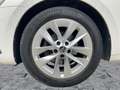 Skoda Octavia Combi 2.0 TDI FIRST ED. LED+NAV+SHZ+PDC Weiß - thumbnail 8