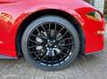 Ford Mustang GT 5.0 V8 Performance, 2021 met 8.451km!!! Rot - thumbnail 21