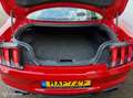 Ford Mustang GT 5.0 V8 Performance, 2021 met 8.451km!!! Rot - thumbnail 20