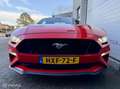 Ford Mustang GT 5.0 V8 Performance, 2021 met 8.451km!!! Rot - thumbnail 14