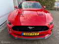 Ford Mustang GT 5.0 V8 Performance, 2021 met 8.451km!!! Rot - thumbnail 4