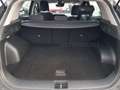 Kia Sportage Sportage 1.6 crdi mhev Business dct Nero - thumbnail 19