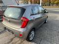 Kia Picanto Picanto  5-Türer 1.0 Spirit, Klima Brun - thumbnail 4