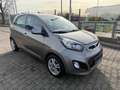 Kia Picanto Picanto  5-Türer 1.0 Spirit, Klima Braun - thumbnail 3