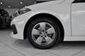 BMW 116 d Advantage *LED* HUD* Ambiente* Blanc - thumbnail 23