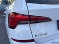 Skoda Kamiq Kamiq 1.0 TSI 110 CV ScoutLine Wit - thumbnail 17