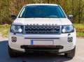 Land Rover Freelander Freelander 2,2 TD4 Experience S DPF Experience S Weiß - thumbnail 5