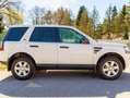 Land Rover Freelander Freelander 2,2 TD4 Experience S DPF Experience S Weiß - thumbnail 4