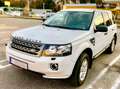 Land Rover Freelander Freelander 2,2 TD4 Experience S DPF Experience S Weiß - thumbnail 1