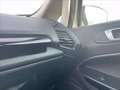 Ford EcoSport 1.0 EcoBoost 125 CV Start&Stop Active Grigio - thumbnail 26