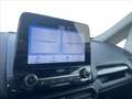 Ford EcoSport 1.0 EcoBoost 125 CV Start&Stop Active Grigio - thumbnail 8