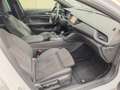 Opel Insignia Ultimate 4x4, 2022, 174 PS, 2.0 Diesel Weiß - thumbnail 8