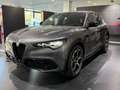 Alfa Romeo Stelvio Stelvio 2.2 Turbodiesel 210 CV AT8 Q4 Veloce Grigio - thumbnail 1