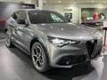 Alfa Romeo Stelvio Stelvio 2.2 Turbodiesel 210 CV AT8 Q4 Veloce Grigio - thumbnail 2