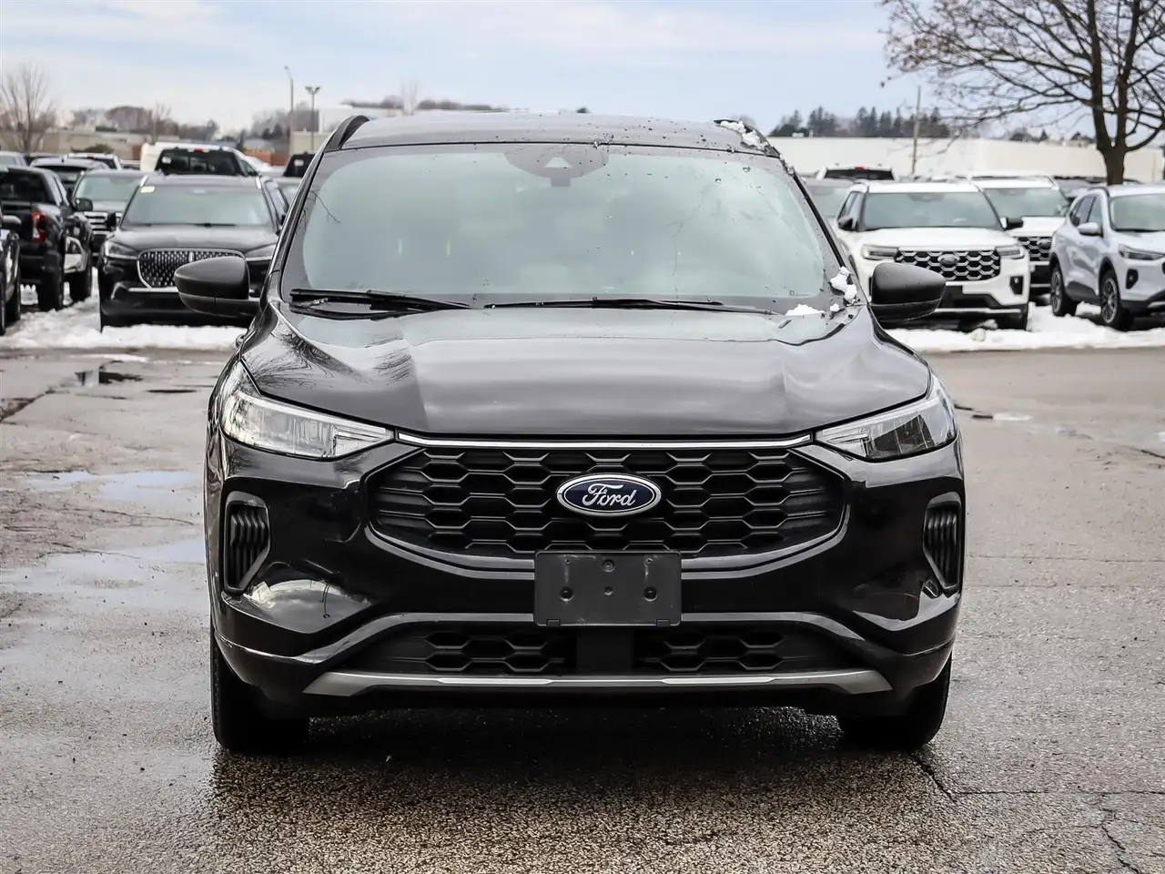 Ford Escape снимка Ford Escape
