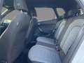 SEAT Arona 1.0 TSI Xperience DSG LED Kamera Sitzhzg Weiß - thumbnail 8