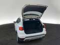 SEAT Arona 1.0 TSI Xperience DSG LED Kamera Sitzhzg Weiß - thumbnail 9