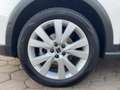 SEAT Arona 1.0 TSI Xperience DSG LED Kamera Sitzhzg Weiß - thumbnail 15