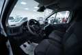 Renault Trafic Trafic T27 2.0 BluedCi 110CV PC-TN-DC Furgone Bianco - thumbnail 6