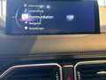 Mazda CX-5 CD184 Skyactive D AWD/Aut./Anhängerkupplung Grau - thumbnail 11