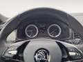 Skoda Kodiaq 2.0 TDI Sportline Matrix 2xKlima 4xSHZ Grau - thumbnail 12