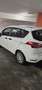 Ford B-Max Easy 1,5 Duratorq TDCi - thumbnail 12