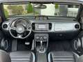 Volkswagen Beetle 2.0TSI DSG Cabrio*R-Line*Navi*Leder*Xenon Niebieski - thumbnail 11