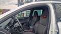 Skoda Octavia Combi 2,0 Style TDI 4x4 DSG Weiß - thumbnail 9