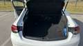 Opel Insignia Insignia GS 2,0 CDTI BlueInjection Innovation St./St. Aut. Innovation Weiß - thumbnail 11