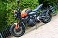 Triumph Trident 660 ABS MIVV EXHAUST Oranje - thumbnail 3