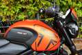 Triumph Trident 660 ABS MIVV EXHAUST Oranje - thumbnail 23