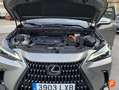 Lexus NX 300h 350h Luxury 4WD Gris - thumbnail 19