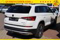 Skoda Kodiaq 2.0TDI DSG 4x4 "Scout" 140 kW (190 PS), Automat... Weiß - thumbnail 5