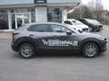 Mazda CX-30 Exclusive-Line 2WD Grau - thumbnail 4