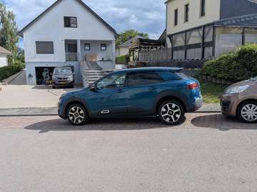 C4 Cactus PureTech 110 Stop