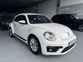 Volkswagen Beetle Cabrio 1.2 TSI Beetlemanía 77kW Blanco - thumbnail 34